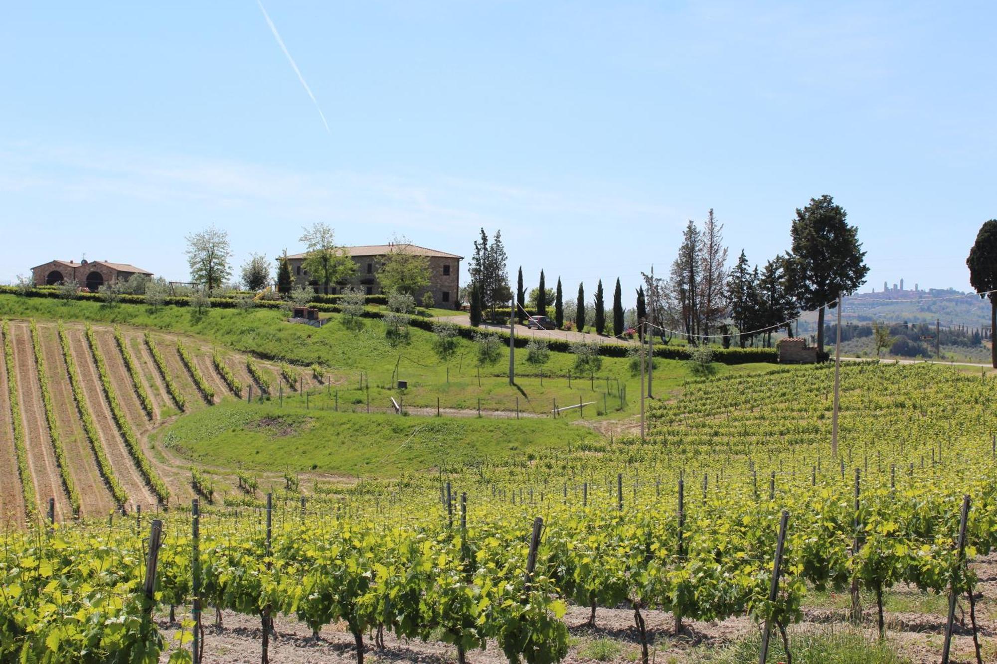 Agriturismo Macinatico San Gimignano Kültér fotó