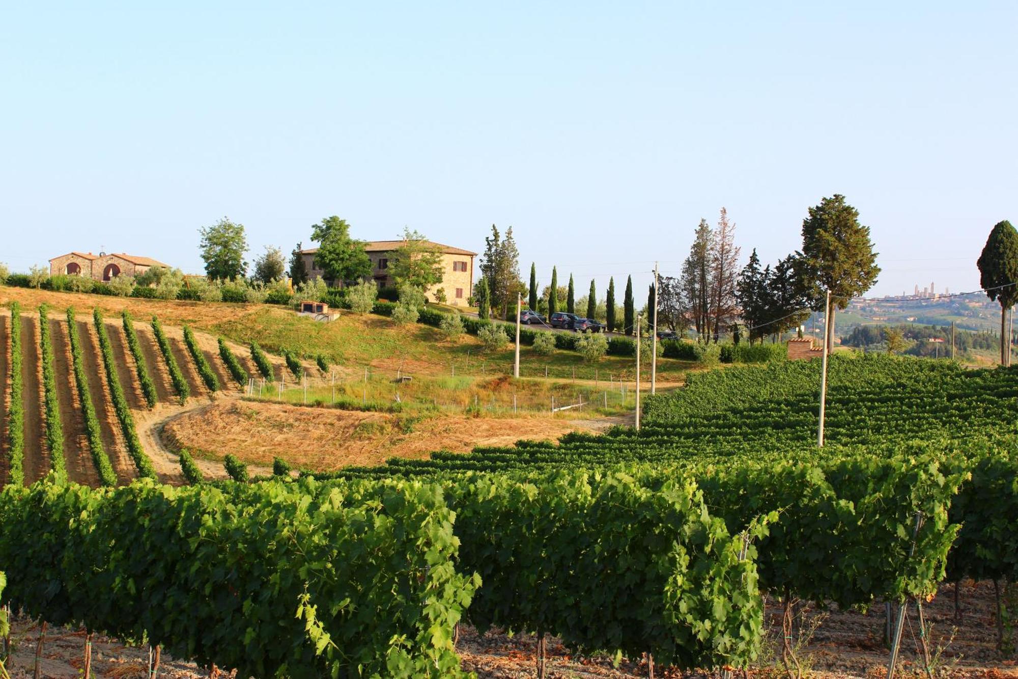 Agriturismo Macinatico San Gimignano Kültér fotó