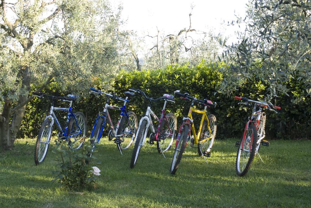 Agriturismo Macinatico San Gimignano Kültér fotó